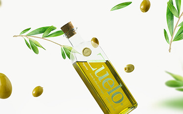 Fusce efficitur elit ornare dui